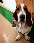 daycare pic 15 - Bert
